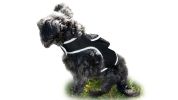 Portable Mini Surveillance Pet Tracking Collar Device Location Finder Size:L