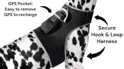 Portable Mini Surveillance Pet Tracking Collar Device Location Finder Size:L
